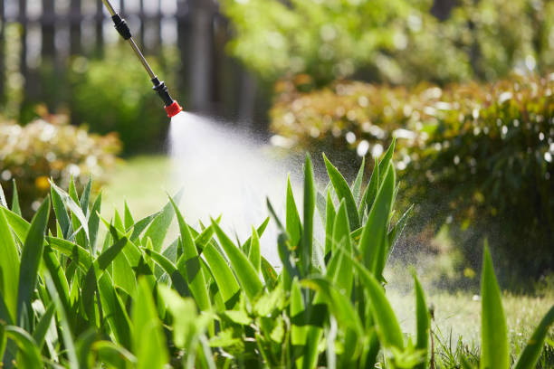 24/7 Emergency Cockroach Control experts in Greenwood, SC
