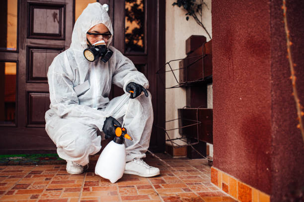 Reliable Cockroach Control contractor in Greenwood, SC by Nex Pest Control