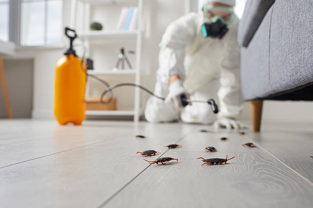 Trusted Fumigation Services service in Greenwood, SC - Nex Pest Control