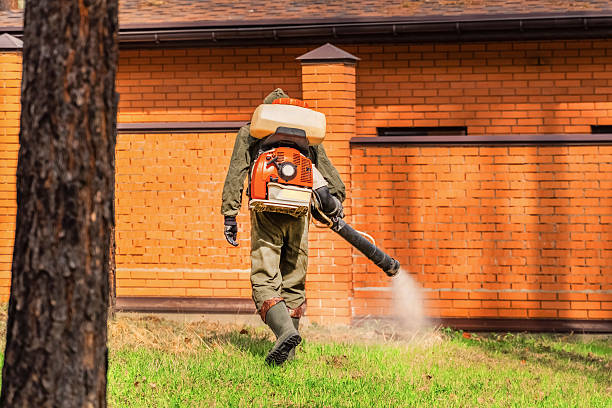 Trusted Mosquito Control service in Greenwood, SC - Nex Pest Control